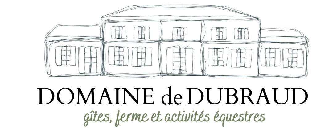 domaine-dubraud.com favicon